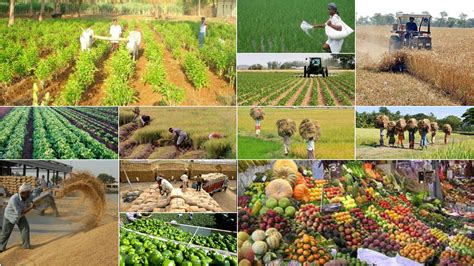 class-industries,Class Industries in Agriculture,thqClassIndustriesAgriculture